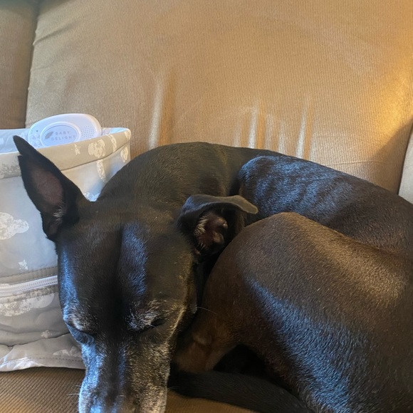 BCBGeneration heels - Picture 2 of 5